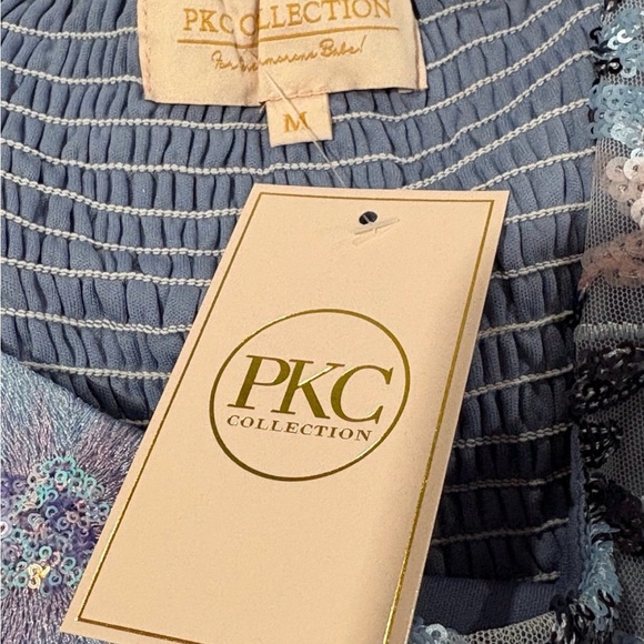 NWT ๐ Blue Tiered Tulle Maxi Dress - Picture 4 of 5